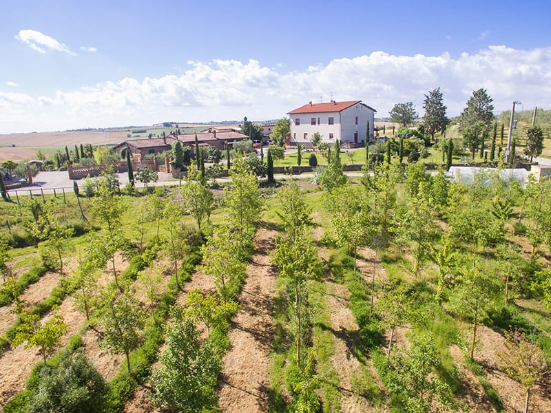 Immagini dell’agriturismo Pratovalle con piscina e appartamenti a Cortona nel cuore della Valdichiana