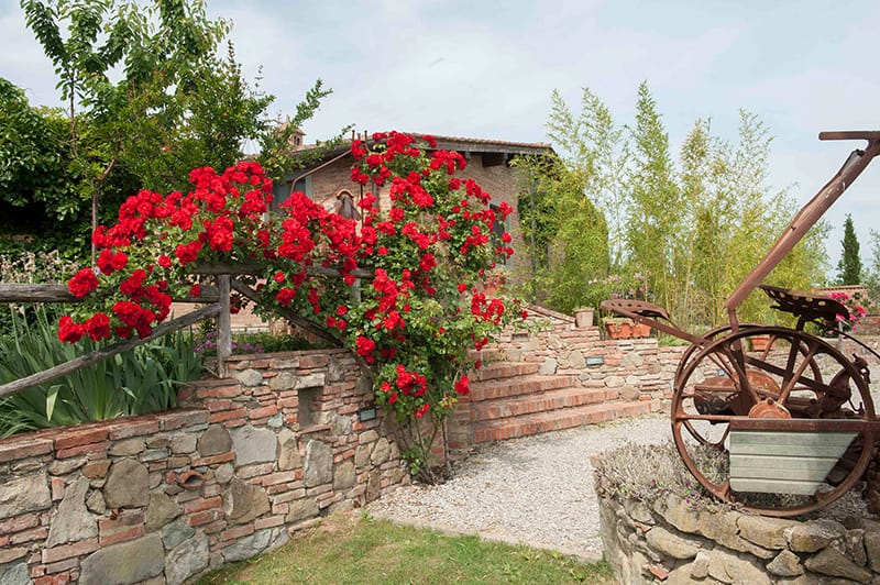 Immagini dell’agriturismo Pratovalle con piscina e appartamenti a Cortona nel cuore della Valdichiana